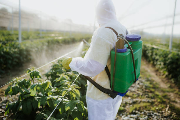 Best Residential Pest Control  in Belington, WV